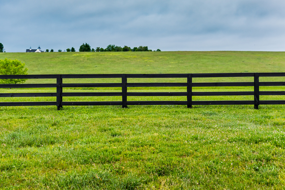 Horse Fence and Pasture